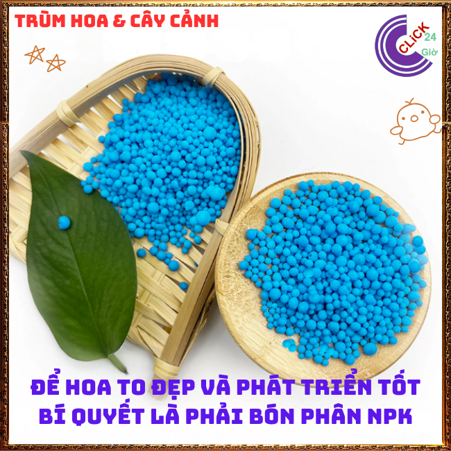 Phân bón NPK 30-10-10 chuyên dùng cho hoa và cây cảnh ▪️▫️ MM Market