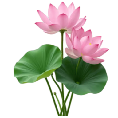 [HỎA TỐC] Hình ủi nhiệt quần áo mẫu HOA LÁ,nhiều mẫu,nhiều size, ủi tại nhà bằng bàn ủi