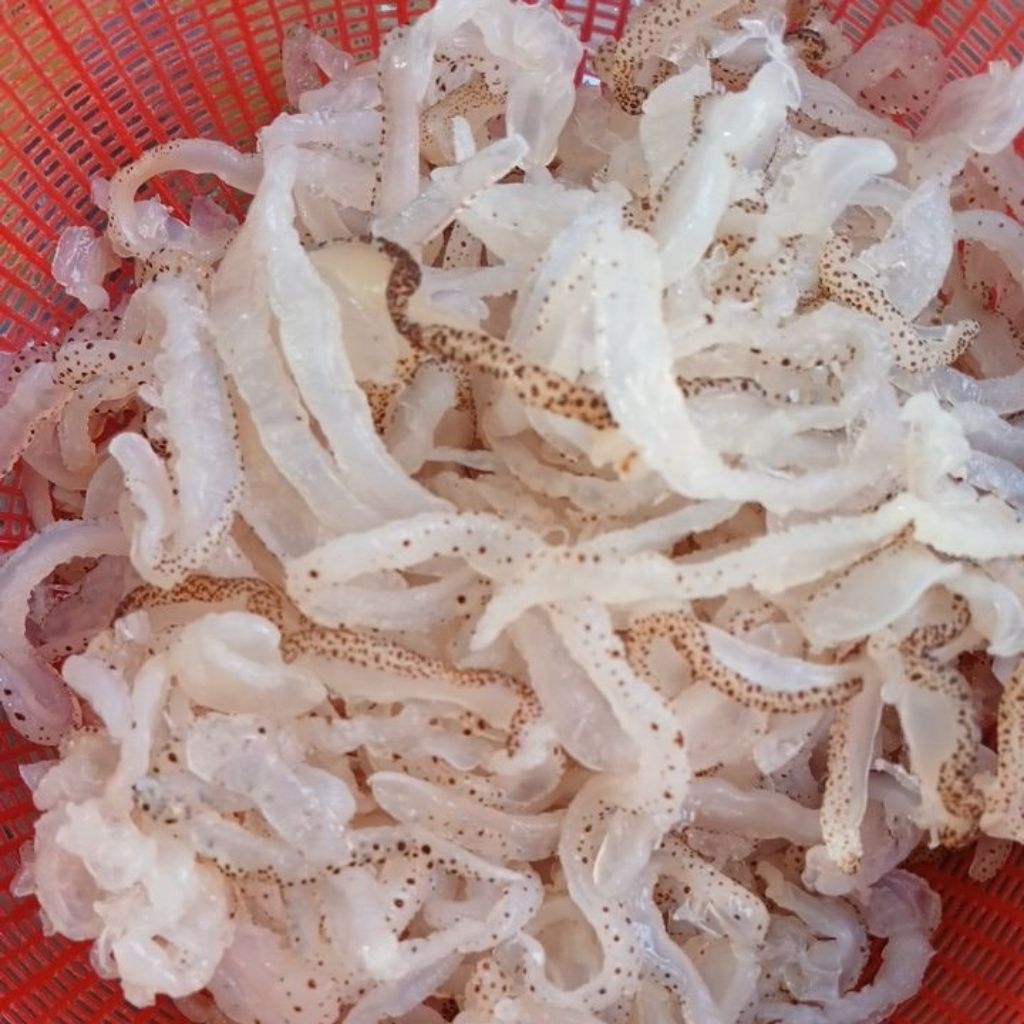 Sứa biển khô loại mặn, gói 700 _900g không tính nước (không mác)làm nộm sứa, lẩu sứa, gỏi sứa, sứa xào, sứa sốt thái.
