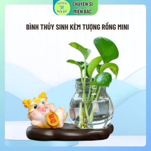 Bình thủy sinh kèm tượng rồng mini
