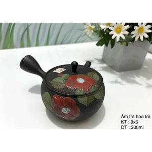 Ấm trà Gốm Nhật hàng tuyển mới/Gốm Nhật cao cấp