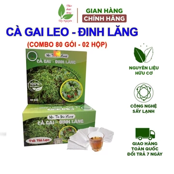 80 gói trà cà gai leo đinh lăng Bảo Khang, trà túi lọc cà gai leo đinh lăng, trà thảo mộc tự nhiên