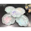 Set đĩa thuỷ tinh hoa tiết tinh tế/Set đĩa trang trí