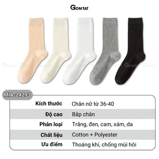 Combo 5 đôi tất nữ cổ cao phối lưới GOMTAT, vớ nữ lolita mùa hè thoáng khí, thấm hút mồ hôi - MIA-24293-CB5