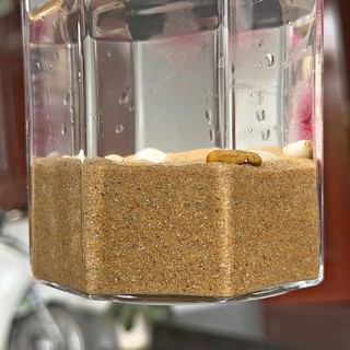 (1kg) Cát Vàng Núi, Cát nắng vàng ấm áp, dùng trang trí, lót bể, thuỷ sinh, tiểu cảnh….
