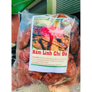 Nấm linh chi đỏ,nấm linh chi rừng,nấm hồng chi chuyên thải độc,mát gan hỗ trợ huyết áp,tiểu đường,mỡ máu