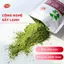 Bột Diếp Cá Quảng Thanh 100% Nguyên Chất Sấy Lạnh Gói 100 gr - Mát gan, hỗ trợ tiêu hóa
