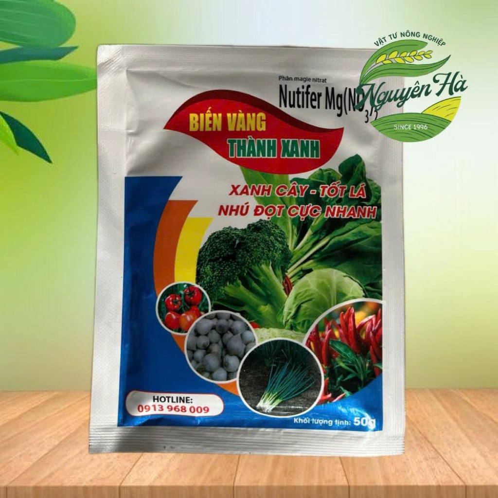 BIẾN VÀNG THÀNH XANH -Phân Magie Nitrat xanh cây tốt lá nhú đọt cực nhanh gói 50g