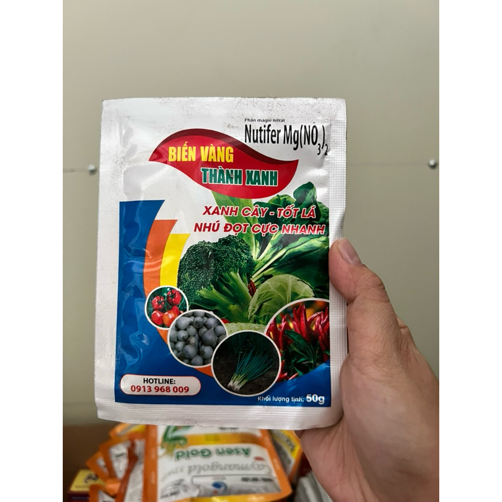 BIẾN VÀNG THÀNH XANH -Phân Magie Nitrat xanh cây tốt lá nhú đọt cực nhanh gói 50g