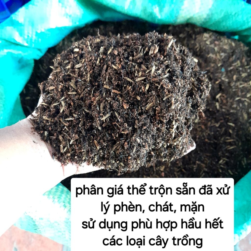 chậu trồng cây bonsai để bàn