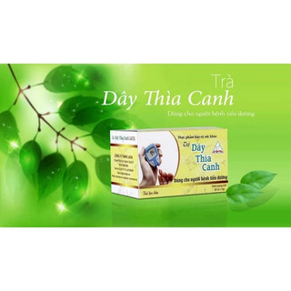 Trà dây thìa canh hạ đường huyết, hỗ trợ làm giảm bệnh tiểu đường