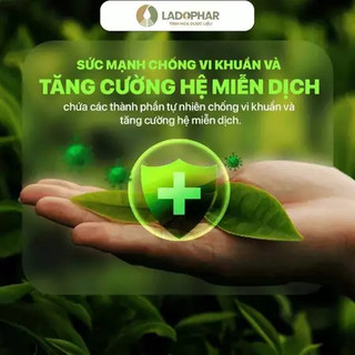 [CHÍNH HÃNG] Trà Túi Lọc Gừng Sả - Hỗ trợ Cải Thiện Các Triệu Chứng Cảm (Hộp 20 túi) - Ladophar
