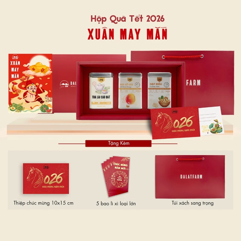 Hộp Quà May Mắn (Trà Lài - Xoài Sấy Dẻo - Hạt Điều) — ảnh 1