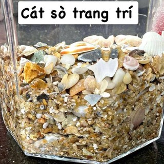 (1kg) Cát Sò, Cát biển tự nhiên _ dùng trang trí, lót bể cá, cây cảnh…[ Hiếm theo mùa ]