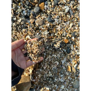 (1kg) Cát Sò, Cát biển tự nhiên _ dùng trang trí, lót bể cá, cây cảnh…[ Hiếm theo mùa ]
