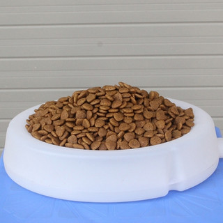 [3KG] CATSRANG - Thức ăn cho Mèo Mọi Lứa Tuổi nhập khẩu Hàn Quốc