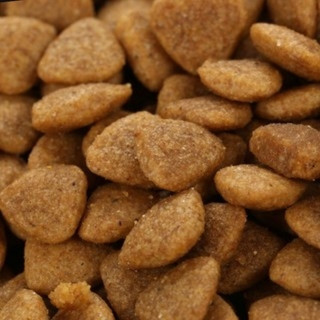 [3KG] CATSRANG - Thức ăn cho Mèo Mọi Lứa Tuổi nhập khẩu Hàn Quốc
