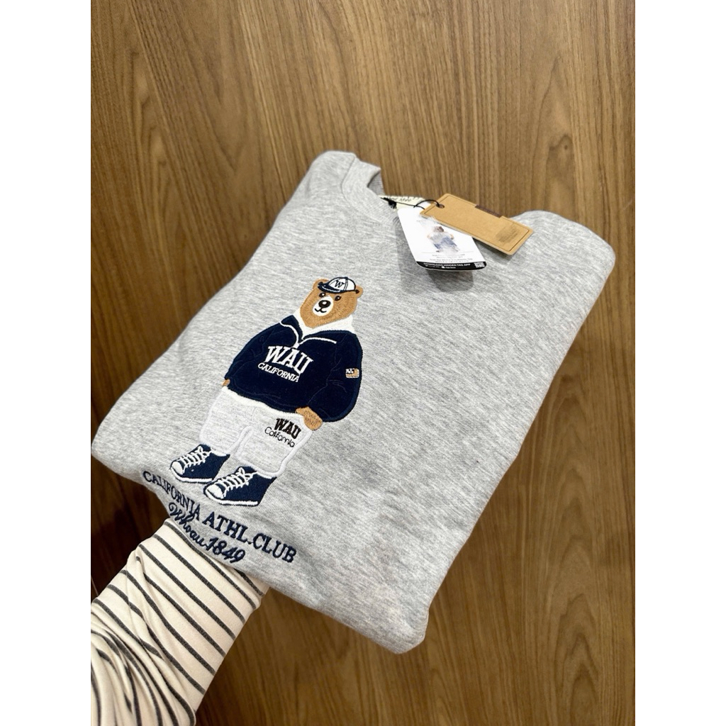 Áo nỉ gấu thêu 3D form rộng unisex chất nỉ 2 da mềm ấm, lên dáng xinh, bốn màu basic dễ phối đồ [New Hot 2026]
