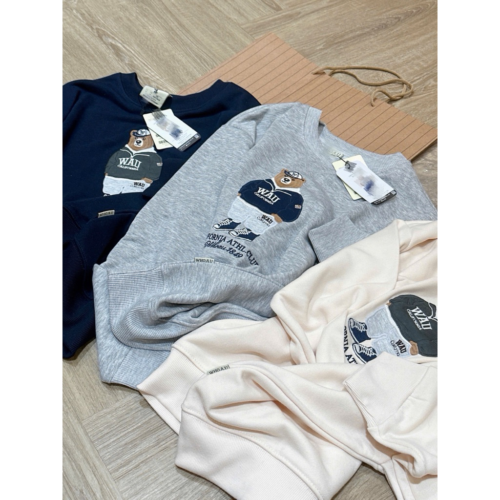 Áo nỉ gấu thêu 3D form rộng unisex chất nỉ 2 da mềm ấm, lên dáng xinh, bốn màu basic dễ phối đồ [New Hot 2026]
