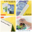 Sổ Còng Van Gogh 100GSM Binder Còng Nhựa Không Gãy Không Gỉ, Thay Được Giấy Refill Kẻ Ngang/Caro/Chấm