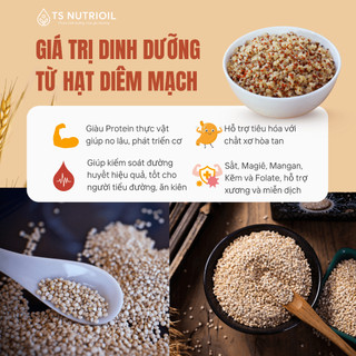 Diêm Mạch Trắng Hữu Cơ Giàu Protein Thực Vật, Không Gluten, Quinoa Trắng TS Nutrioil