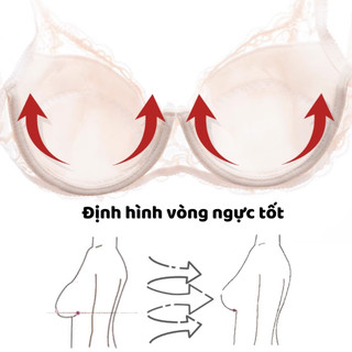 Áo Ren Ngực Enma Quyến Rũ Gợi Cảm Mút Mỏng Mềm Mại Bra15