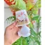 ĐÈN NGỦ CÓ CÔNG TẮC BẬT TẮT – HOẠ TIẾT HOẠT HÌNH SIÊU CUTE
