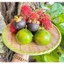 DĨA NHỰA GIẢ MÂY HÌNH TRÒN 25CM