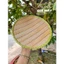 DĨA NHỰA GIẢ MÂY HÌNH TRÒN 25CM