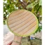 DĨA NHỰA GIẢ MÂY HÌNH TRÒN 25CM