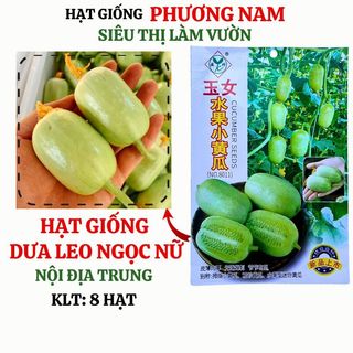 8 Hạt - Hạt Giống Dưa Leo Ngọc Nữ Phương Nam