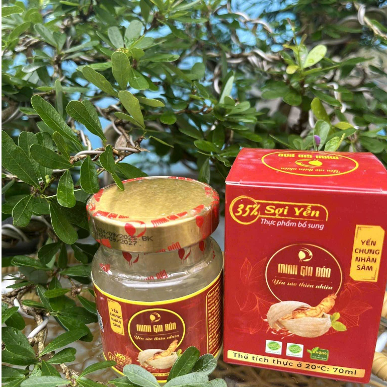 Combo 10 hũ yến chưng sẵn- Yến sào cao cấp Minh Gia Bảo - Yến sào (35%), đường phèn (10%) - 70ml