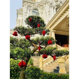 Bộ Đèn Lồng 10 Chiếc Màu Đỏ Trang Trí Nhà Cửa Cây Cảnh Dịp Tết, ✨✨