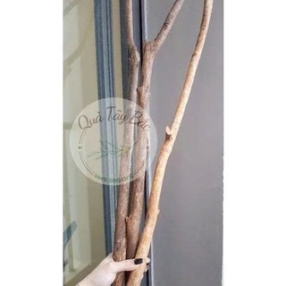 Cành củi khô Cành cây khô gỗ Quế tự nhiên Decor trang trí làm Macrame, cây thông Noel siêu đẹp siêu thơm