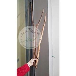 Cành củi khô Cành cây khô gỗ Quế tự nhiên Decor trang trí làm Macrame, cây thông Noel siêu đẹp siêu thơm
