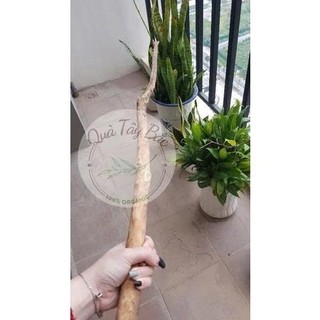 Cành củi khô Cành cây khô gỗ Quế tự nhiên Decor trang trí làm Macrame, cây thông Noel siêu đẹp siêu thơm