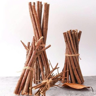 Set 5 cành cây khô đường kính dưới 1cm dùng trang trí dài từ 15-50cm, Noel, chụp ảnh, decor, studio