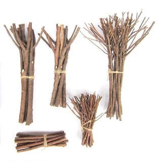 Set 5 cành cây khô đường kính dưới 1cm dùng trang trí dài từ 15-50cm, Noel, chụp ảnh, decor, studio