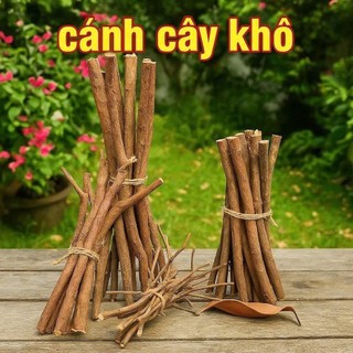 Set 5 cành cây khô đường kính dưới 1cm dùng trang trí dài từ 15-50cm, Noel, chụp ảnh, decor, studio