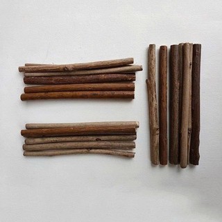 Set 5 cành cây khô đường kính dưới 1cm dùng trang trí dài từ 15-50cm, Noel, chụp ảnh, decor, studio
