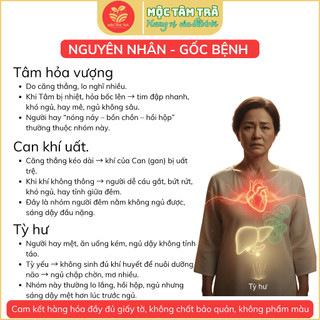Trà Túi Lọc Dưỡng Tâm An Mộc Tâm – Hỗ Trợ Ngủ Ngon, Giảm Căng Thẳng, Thanh Lọc Cơ Thể