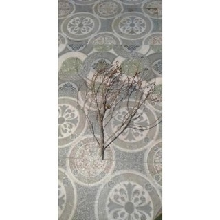 nhánh cây nhiều nhánh đẹp cao 50-70cm-1m, làm cây đào giả, cây mai giả trang trí decor tết ( HÀNG TUYỂN)