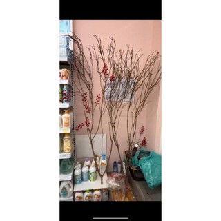 nhánh cây nhiều nhánh đẹp cao 50-70cm-1m, làm cây đào giả, cây mai giả trang trí decor tết ( HÀNG TUYỂN)