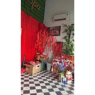 nhánh cây nhiều nhánh đẹp cao 50-70cm-1m, làm cây đào giả, cây mai giả trang trí decor tết ( HÀNG TUYỂN)