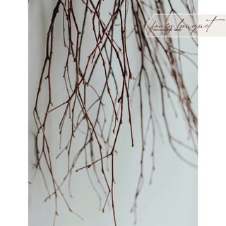 cành thân gỗ - Quả chuông khô - Đài sen ❤️FREESHIP❤️ hoa decor vintage  4.7