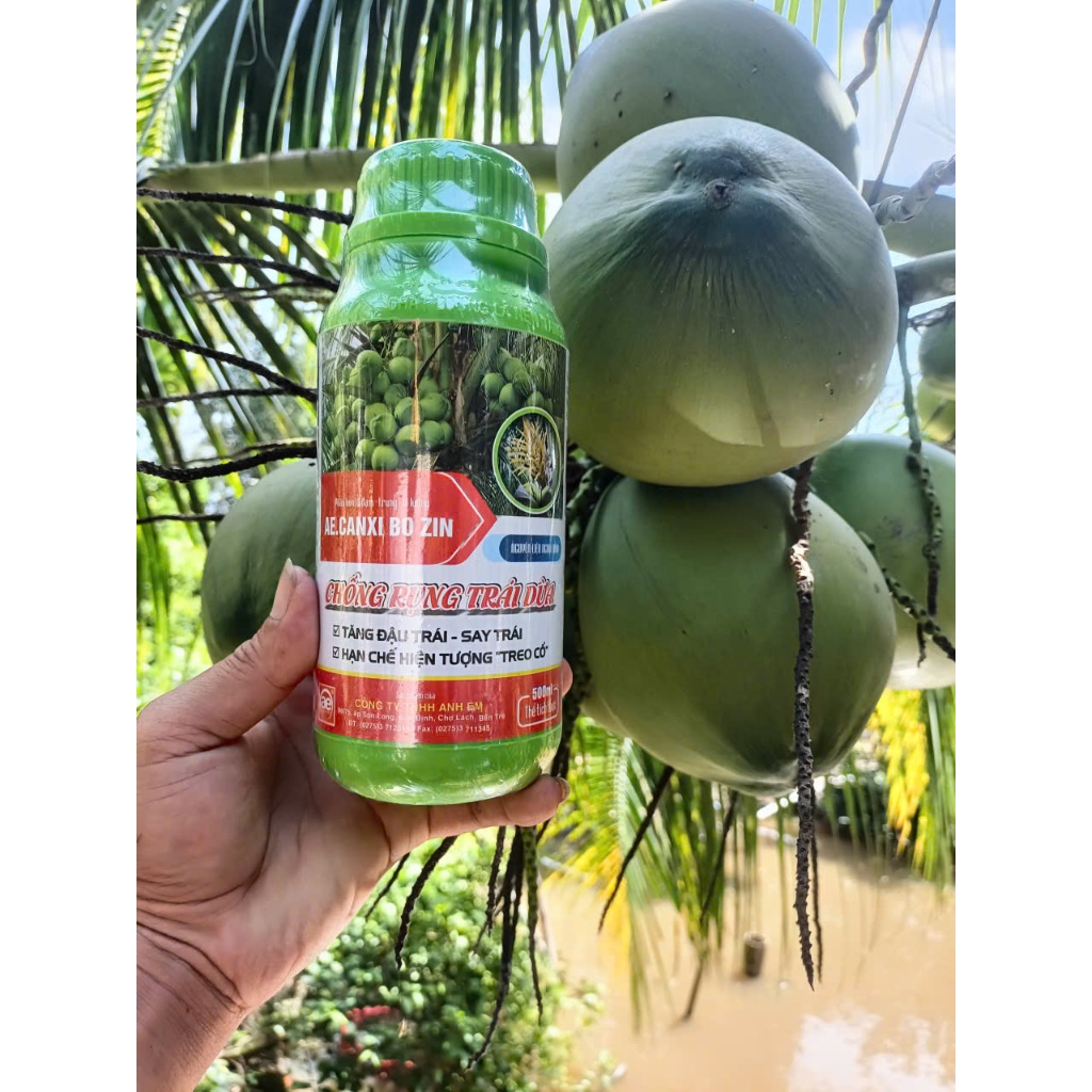 AE.CANXIBOZIN 500ML, CHỐNG RỤNG TRÁI DỪA -  CT TNHH ANH EM BẾN TRE