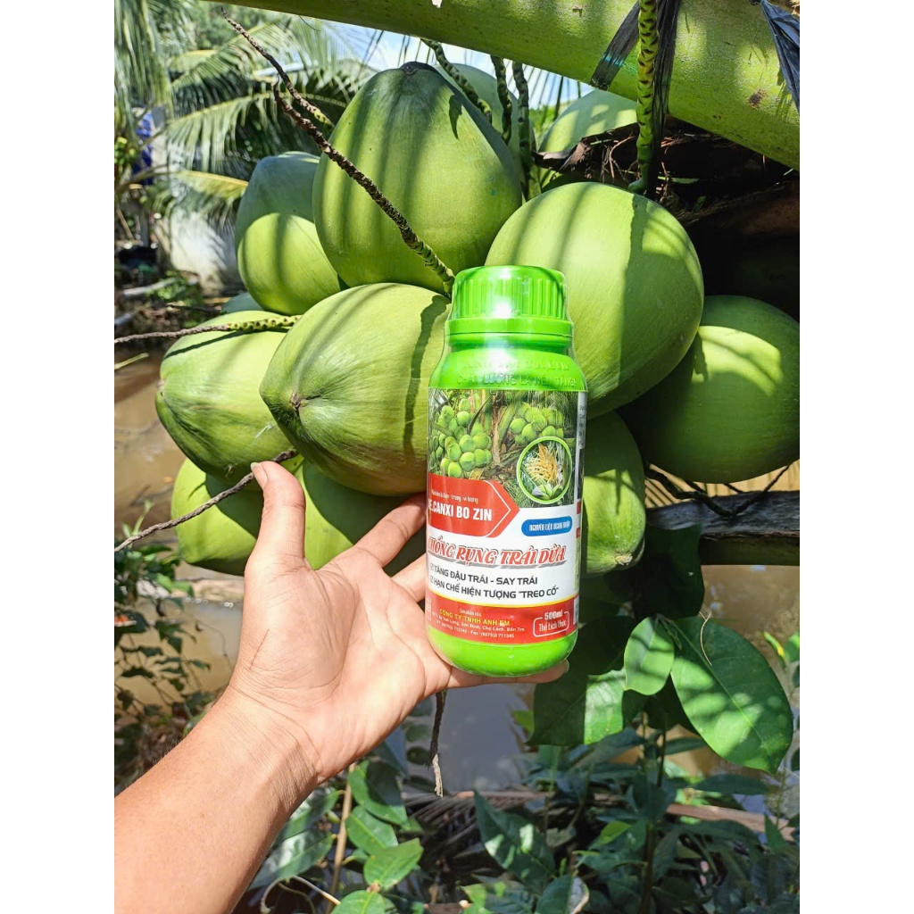 AE.CANXIBOZIN 500ML, CHỐNG RỤNG TRÁI DỪA -  CT TNHH ANH EM BẾN TRE