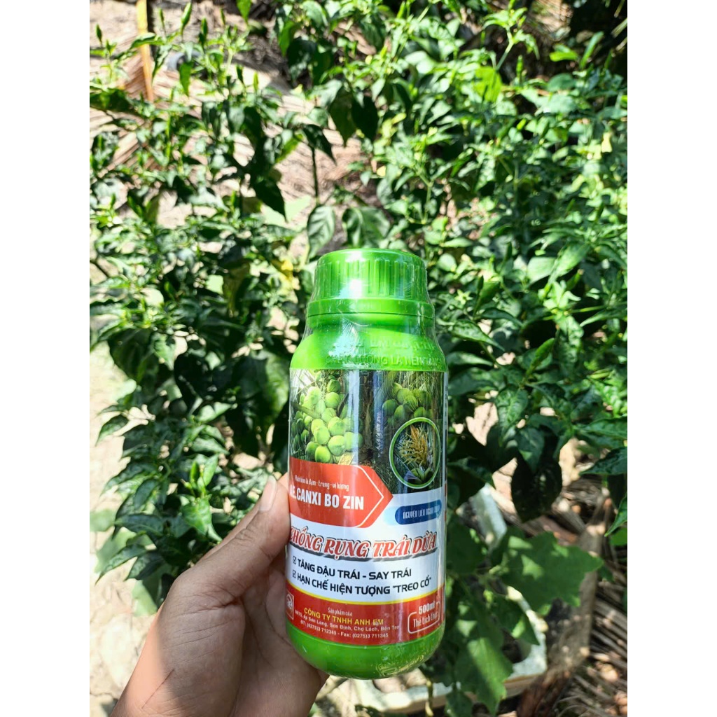 AE.CANXIBOZIN 500ML, CHỐNG RỤNG TRÁI DỪA -  CT TNHH ANH EM BẾN TRE