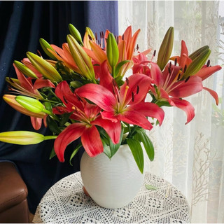 Bình gốm cắm hoa dáng bóng tròn cao 18cm gốm sứ Bát Tràng Decor Nhà Xinh
