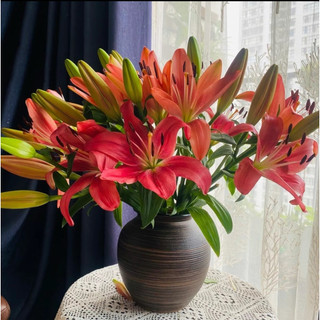 Bình gốm cắm hoa dáng bóng tròn cao 18cm gốm sứ Bát Tràng Decor Nhà Xinh